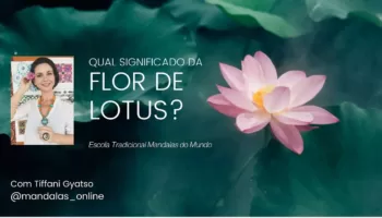 Desvendando o Significado Profundo da Flor de Lótus: Um Guia Inspirador.